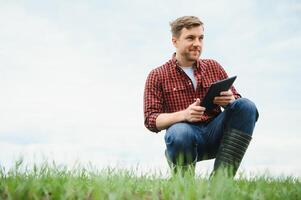 young farmer holding a tablet and checking the progress of the harvest at the green wheat fieldt. Worker tracks the growth prospects. Agricultural concept. photo