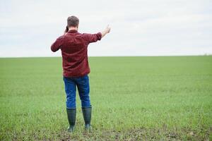 Portrait of farmer standing in wheat field. photo