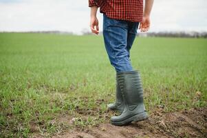 Dirty farmer's rubber boots walking on the field. photo