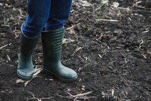 Dirty farmer's rubber boots walking on the field. photo