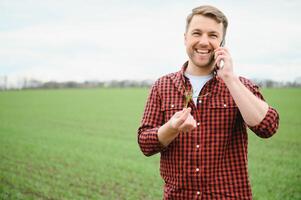 Farmer holds a harvest of the soil and young green wheat sprouts in his hands checking the quality of the new crop. Agronomist analysis the progress of the new seeding growth. Farming health concept photo