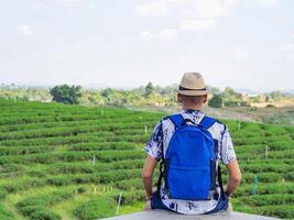 Back view of a young man with a travel backpack enjoying the natural environment of green tea plantation photo