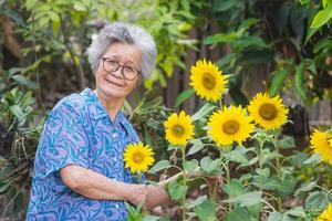 Portrait of an elderly woman with short gray hair standing side of a sunflower in the garden, smiling and looking at the camera. Concept of aged people and relaxation photo