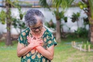 un mayor mujer agarrando su cofre en dolor a el primero señales de angina de pecho o miocárdico infarto o corazón ataque mientras en pie en un jardín. concepto de Envejecido personas y corazón ataque foto