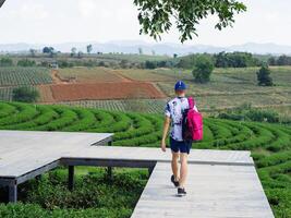 Back view of a young man with a travel backpack enjoying the natural environment of green tea plantation photo