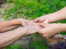 Close-up of a young woman's hands holding an elderly female's hands. Concept of aged people and healthcare photo