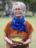 Portrait of an elderly woman wearing eyeglasses, smiling, and looking at the camera while standing in a garden. Space for text. Concept of aged people and healthcare photo