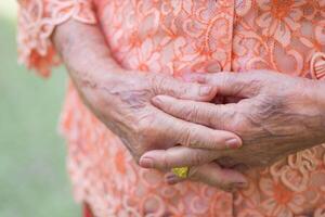 Close-up of both hands a senior woman while standing in the garden. Space for text. Health care concept photo