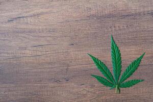 Top view of cannabis leaf on wooden table. Space for text. Wood texture background. Hemp herb green leaves for medicinal. Farm marijuana plantation concept photo