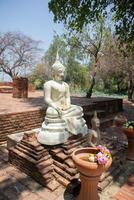 Buddha Statue and landscape view in Wat Phra Ngam at Phra Nakhon Si Ayutthaya, Thailand photo