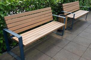 Wooden benches in a park photo