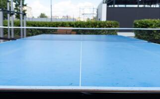 ping pong table in the garden photo