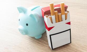 Piggy Bank on pile of Cigarettes isolated. Concept of Savings photo