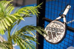 Kyiv, Ukraine. March 22, 2024 paddle tennis objects in court, racket, balls and fences outdoors, focus on fence photo