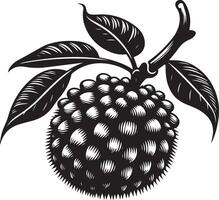 Entawak fruit, black color silhouette vector
