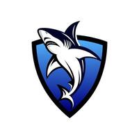 tiburón logo ideal para Oceano conservación y Deportes marcas vector