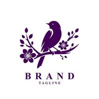 diseño de logotipo de pájaro vector