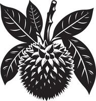 Entawak fruit, black color silhouette vector