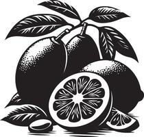 Eggfruit, silhouette, black color silhouette vector