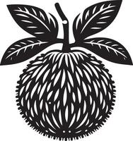 Entawak fruit, black color silhouette vector