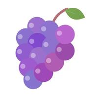 Grape icon. Purple fruit. vector