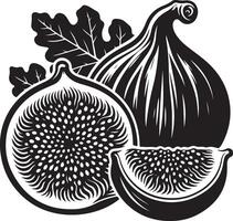 Fig fruit, black color silhouette vector