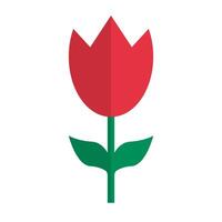 rojo tulipán flor icono. vector