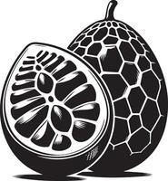 fruta de huevo, silueta, negro color silueta vector