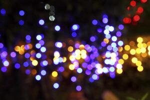 colorful and defocused lights on black background photo
