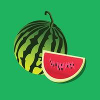 Watermelon on white background, illustration vector