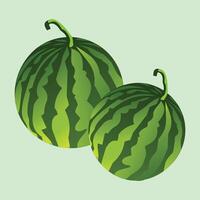 Watermelon on white background, illustration vector