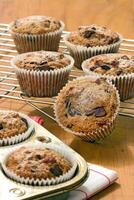 Chocolate muffins with chocolate chips on the plate photo