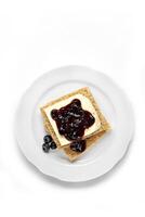 toast with cheese and grape jelly seen from above photo