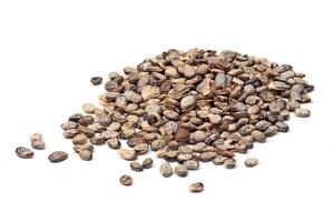 amburana seeds on white background photo