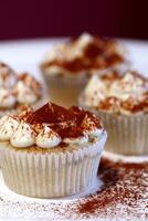 vanilla cupcakes with whipped cream frosting and chocolate powder photo