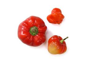 Capsicum pepper, a delicious Brazilian vegetable widely used in cooking photo