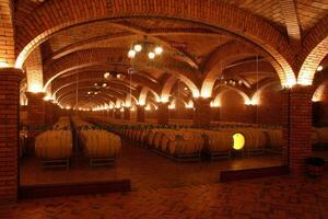 Barrels and bottles of wine in a winery cellar in southern Brazil photo