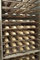 French bread making process photo