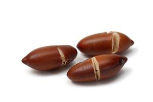 Baru chestnut, delicious Brazilian vegetable photo