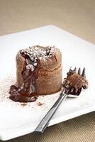 chocolate petit gateau with chocolate sauce on plate photo