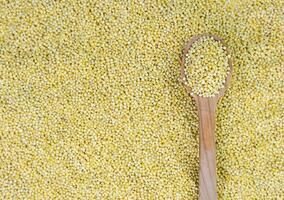 Raw millet groats in a wooden spoon on a background of millet. Top view. Selective focus. photo