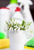 Spring cleaning. Spring flowers and detergents and cleaning products on the table. Close-up. Selective focus. photo