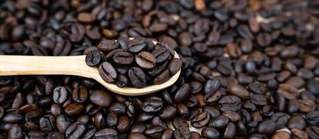 Coffee beans in a wooden spoon on a coffee background. Natural coffee. Banner. Close-up. Selective focus. photo