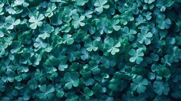 Close-up of clover leaves with cold colors. Aesthetic, refreshing, and lush leaves fill the frame. Fresh blue foliage wallpaper. AI-Generative photo