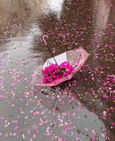 an umbrella laying on the ground photo