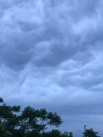 a cloudy sky with trees and a sky photo