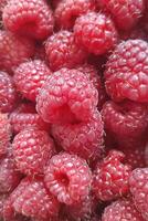 fruit banner from the harvest of ripe raspberries photo