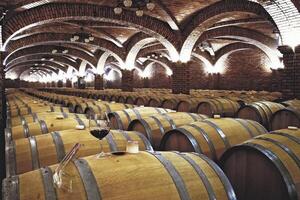 Barrels and bottles of wine in a winery cellar in southern Brazil photo