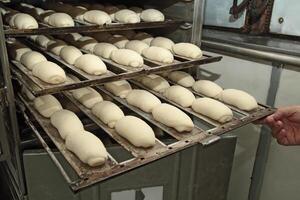 French bread making process photo