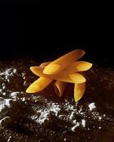 penne, dry pasta tossed with wheat flour photo